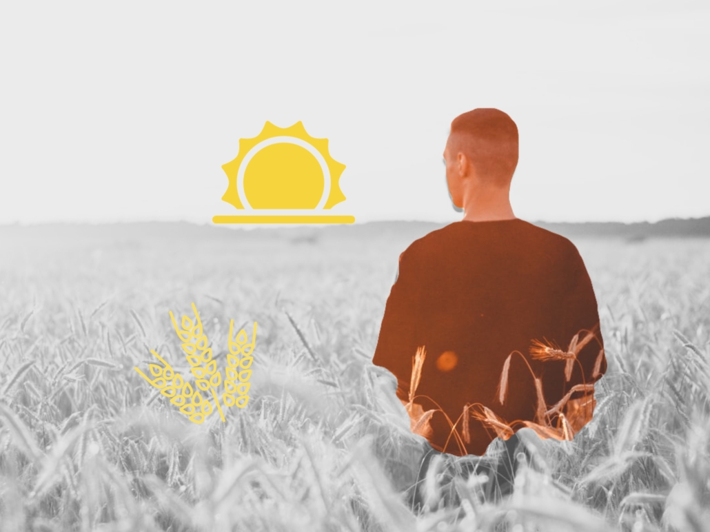 C1527152-3F86-4810-AA38-72B8033CA538